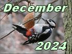 december 2024